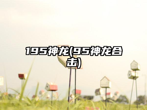 195神龙(95神龙合击)