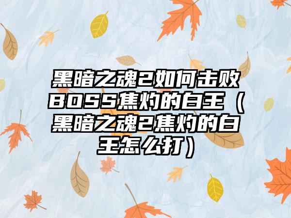 黑暗之魂2如何击败BOSS焦灼的白王（黑暗之魂2焦灼的白王怎么打）