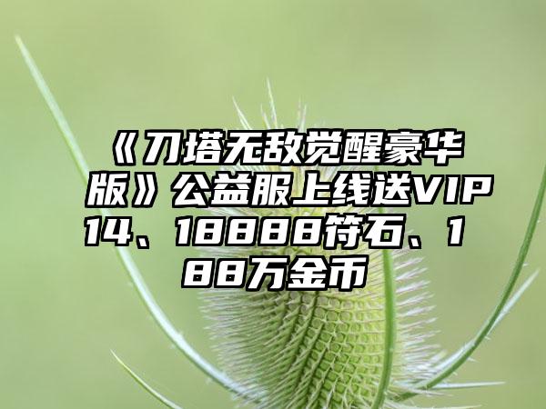《刀塔无敌觉醒豪华版》公益服上线送VIP14、18888符石、188万金币