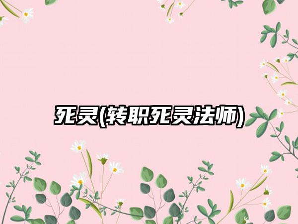 死灵(转职死灵法师)