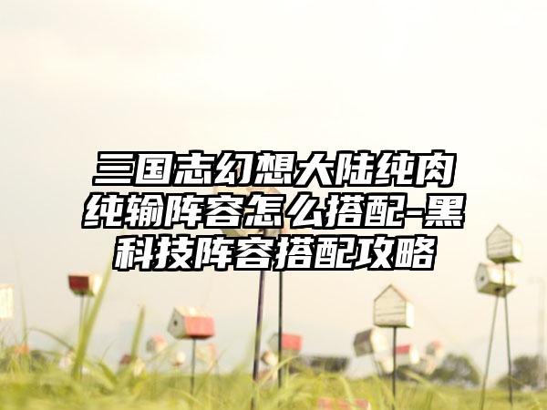 三国志幻想大陆纯肉纯输阵容怎么搭配-黑科技阵容搭配攻略