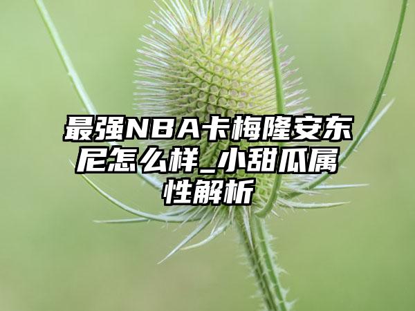 最强NBA卡梅隆安东尼怎么样_小甜瓜属性解析