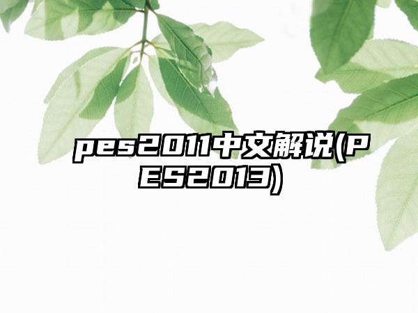 pes2011中文解说(PES2013)