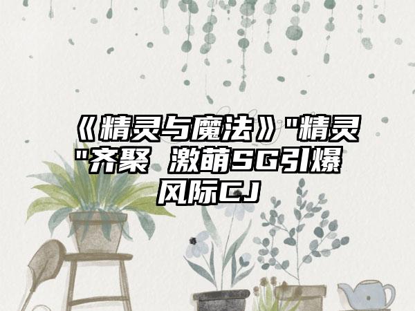 《精灵与魔法》