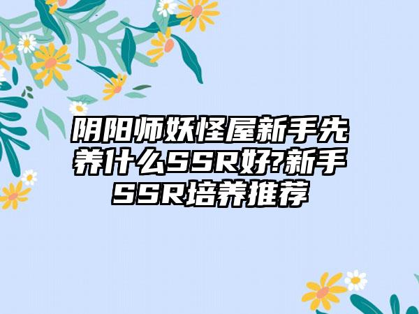 阴阳师妖怪屋新手先养什么SSR好?新手SSR培养推荐