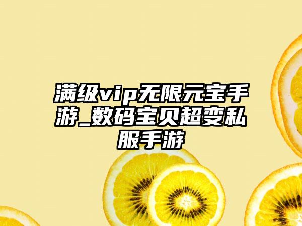 满级vip无限元宝手游_数码宝贝超变私服手游
