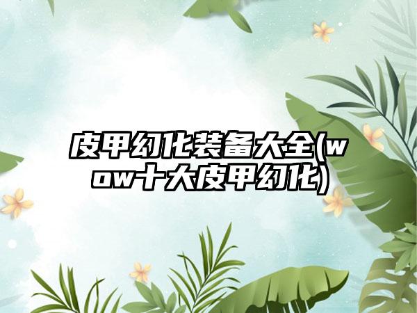 皮甲幻化装备大全(wow十大皮甲幻化)