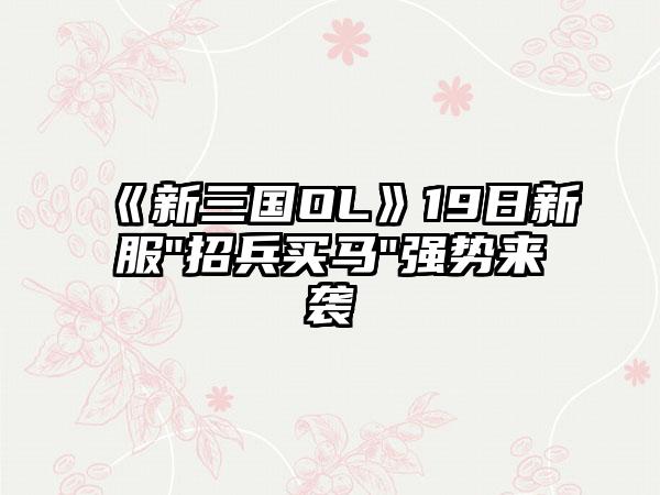 《新三国OL》19日新服