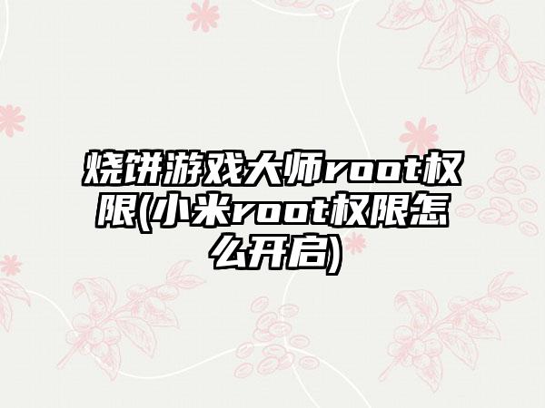 烧饼游戏大师root权限(小米root权限怎么开启)