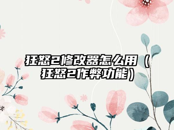 狂怒2修改器怎么用（狂怒2作弊功能）