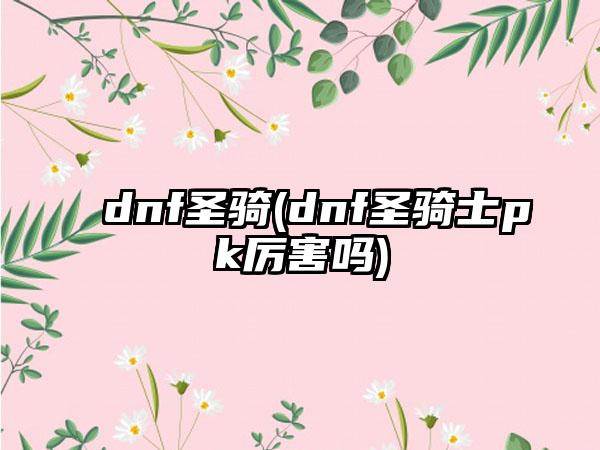 dnf圣骑(dnf圣骑士pk厉害吗)