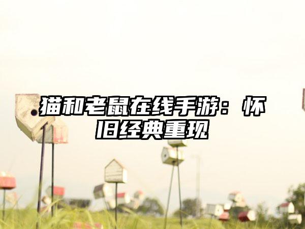 猫和老鼠在线手游：怀旧经典重现