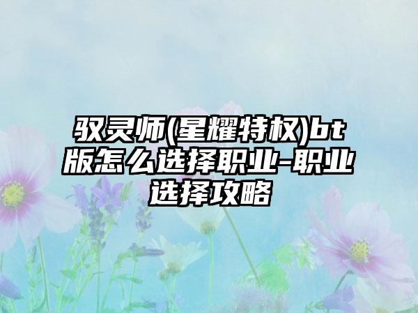 驭灵师(星耀特权)bt版怎么选择职业-职业选择攻略