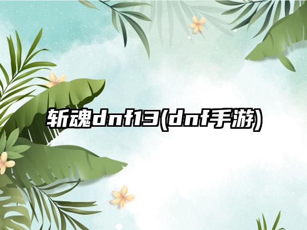 斩魂dnf13(dnf手游)