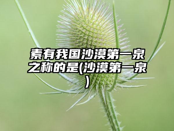 素有我国沙漠第一泉之称的是(沙漠第一泉)