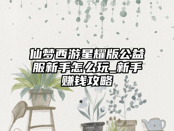 仙梦西游星耀版公益服新手怎么玩_新手赚钱攻略