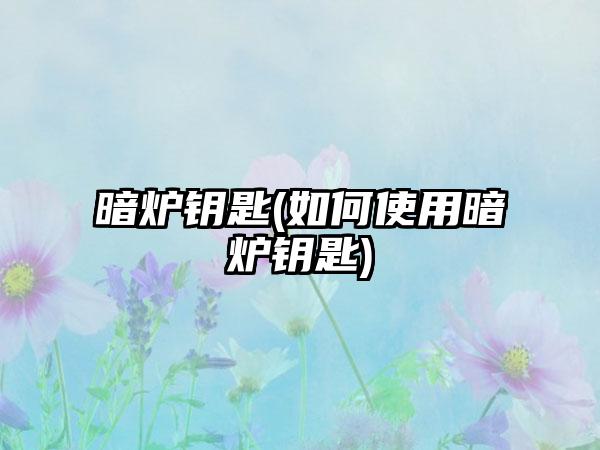 暗炉钥匙(如何使用暗炉钥匙)