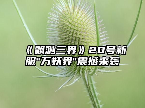 《飘渺三界》20号新服