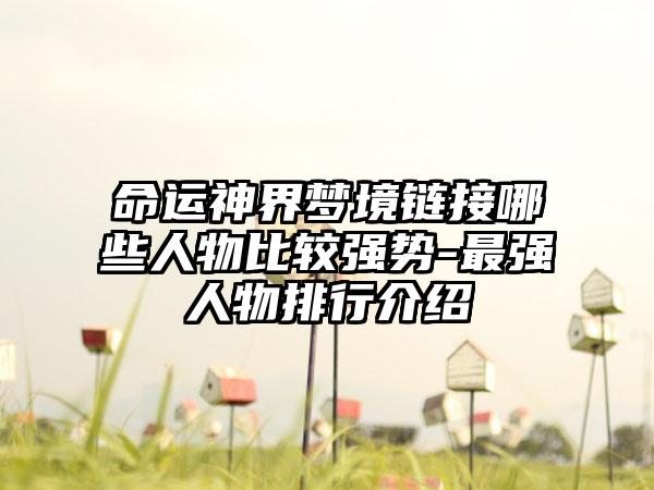 命运神界梦境链接哪些人物比较强势-最强人物排行介绍
