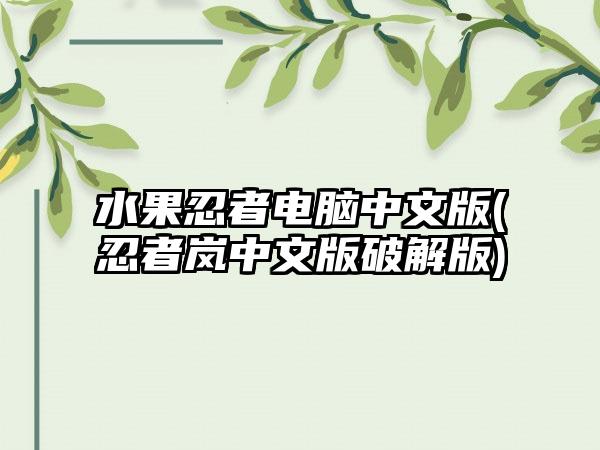 水果忍者电脑中文版(忍者岚中文版破解版)