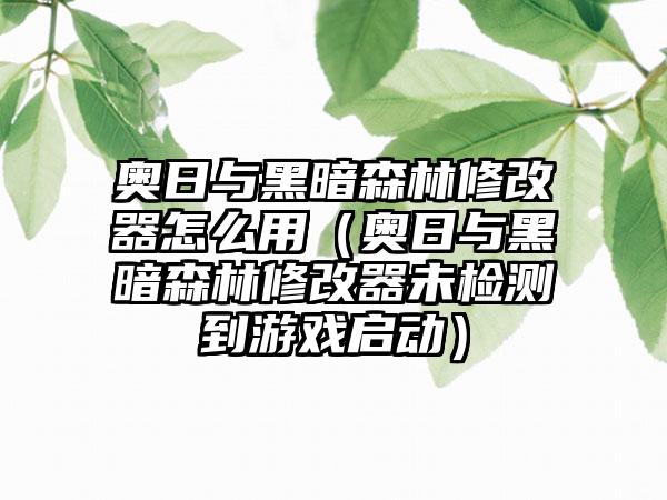 奥日与黑暗森林修改器怎么用（奥日与黑暗森林修改器未检测到游戏启动）