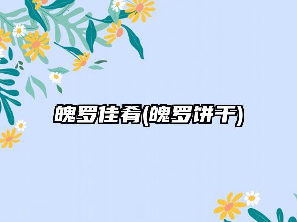 魄罗佳肴(魄罗饼干)