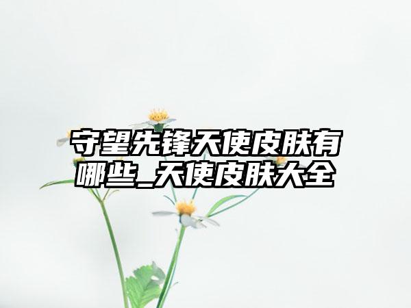 守望先锋天使皮肤有哪些_天使皮肤大全