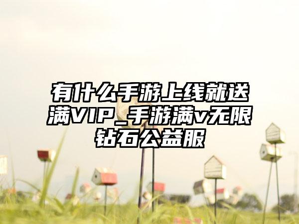 有什么手游上线就送满VIP_手游满v无限钻石公益服