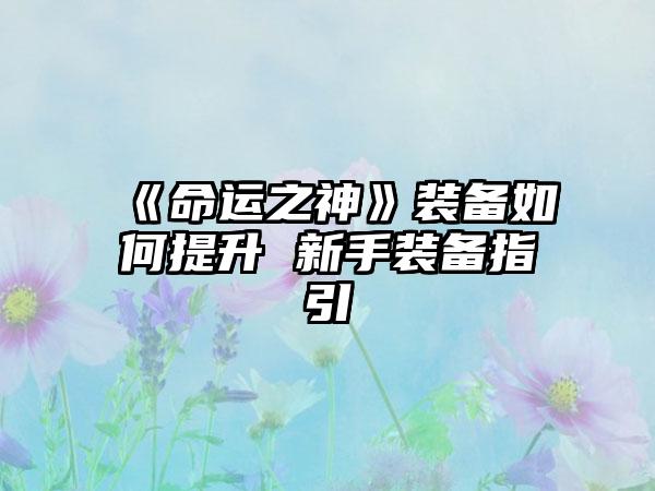 《命运之神》装备如何提升 新手装备指引