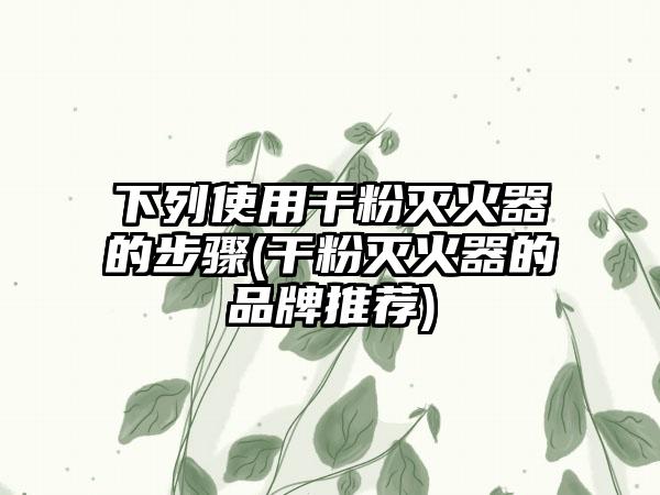 下列使用干粉灭火器的步骤(干粉灭火器的品牌推荐)