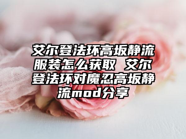 艾尔登法环高坂静流服装怎么获取 艾尔登法环对魔忍高坂静流mod分享
