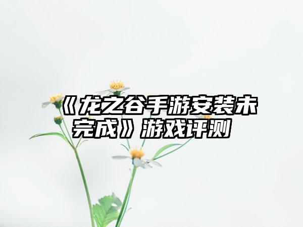 《龙之谷手游安装未完成》游戏评测