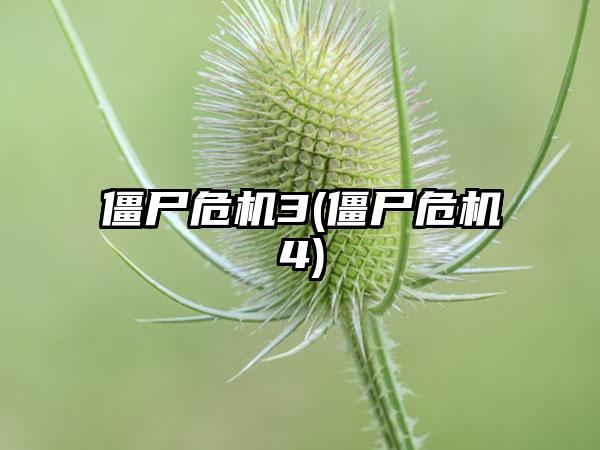僵尸危机3(僵尸危机4)
