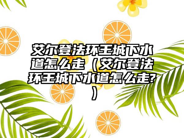 艾尔登法环王城下水道怎么走（艾尔登法环王城下水道怎么走?）