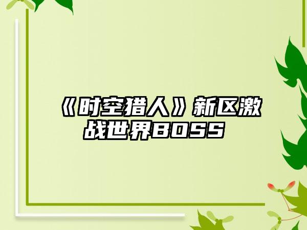 《时空猎人》新区激战世界BOSS