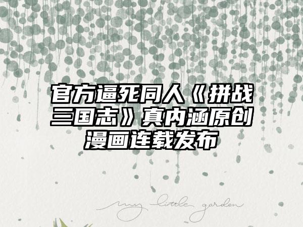 官方逼死同人《拼战三国志》真内涵原创漫画连载发布