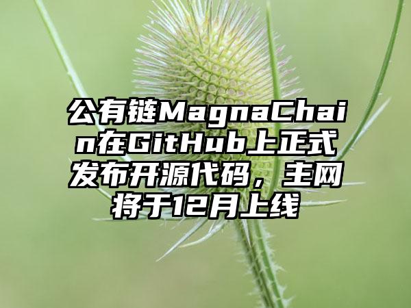公有链MagnaChain在GitHub上正式发布开源代码，主网将于12月上线