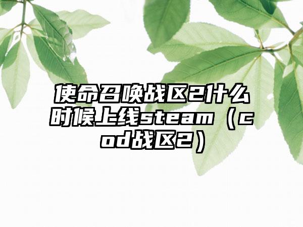 使命召唤战区2什么时候上线steam（cod战区2）