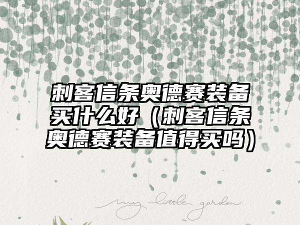 刺客信条奥德赛装备买什么好（刺客信条奥德赛装备值得买吗）