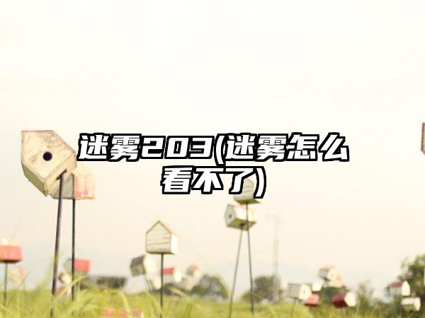 迷雾203(迷雾怎么看不了)