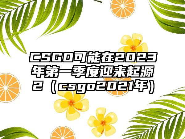 CSGO可能在2023年第一季度迎来起源2（csgo2021年）