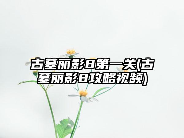 古墓丽影8第一关(古墓丽影8攻略视频)