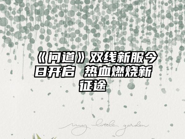 《问道》双线新服今日开启 热血燃烧新征途