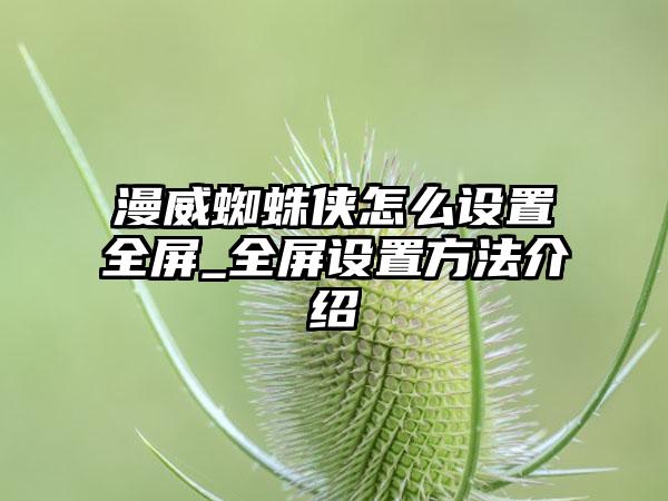 漫威蜘蛛侠怎么设置全屏_全屏设置方法介绍