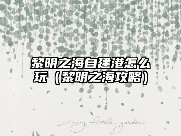 黎明之海自建港怎么玩（黎明之海攻略）