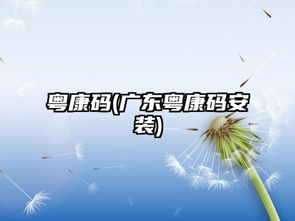 粤康码(广东粤康码安装)