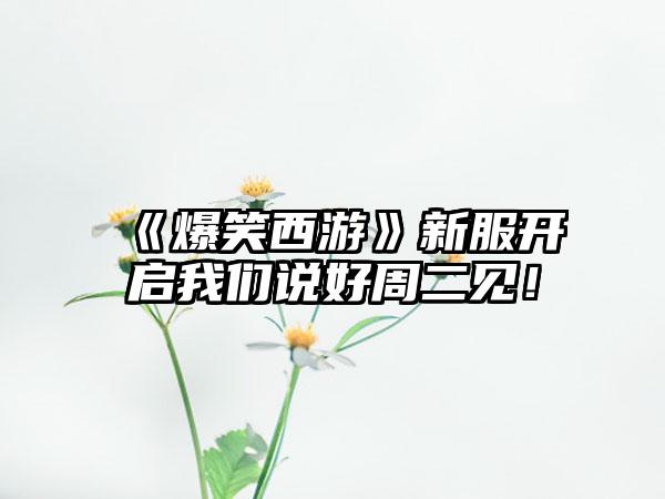 《爆笑西游》新服开启我们说好周二见！