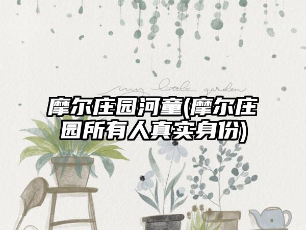 摩尔庄园河童(摩尔庄园所有人真实身份)