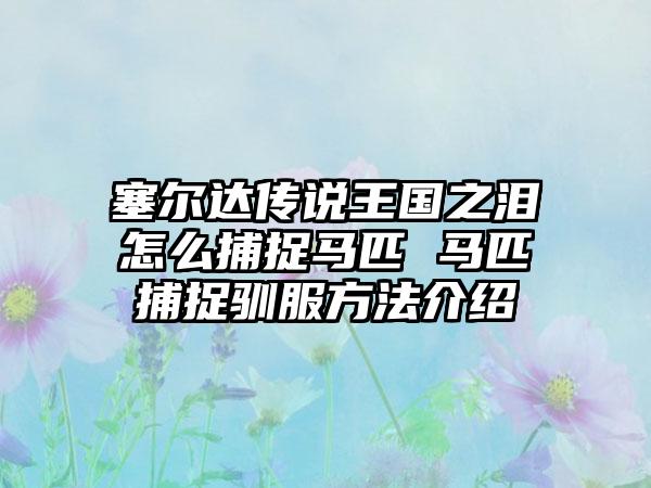 塞尔达传说王国之泪怎么捕捉马匹 马匹捕捉驯服方法介绍