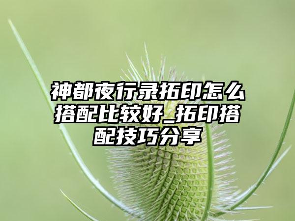 神都夜行录拓印怎么搭配比较好_拓印搭配技巧分享